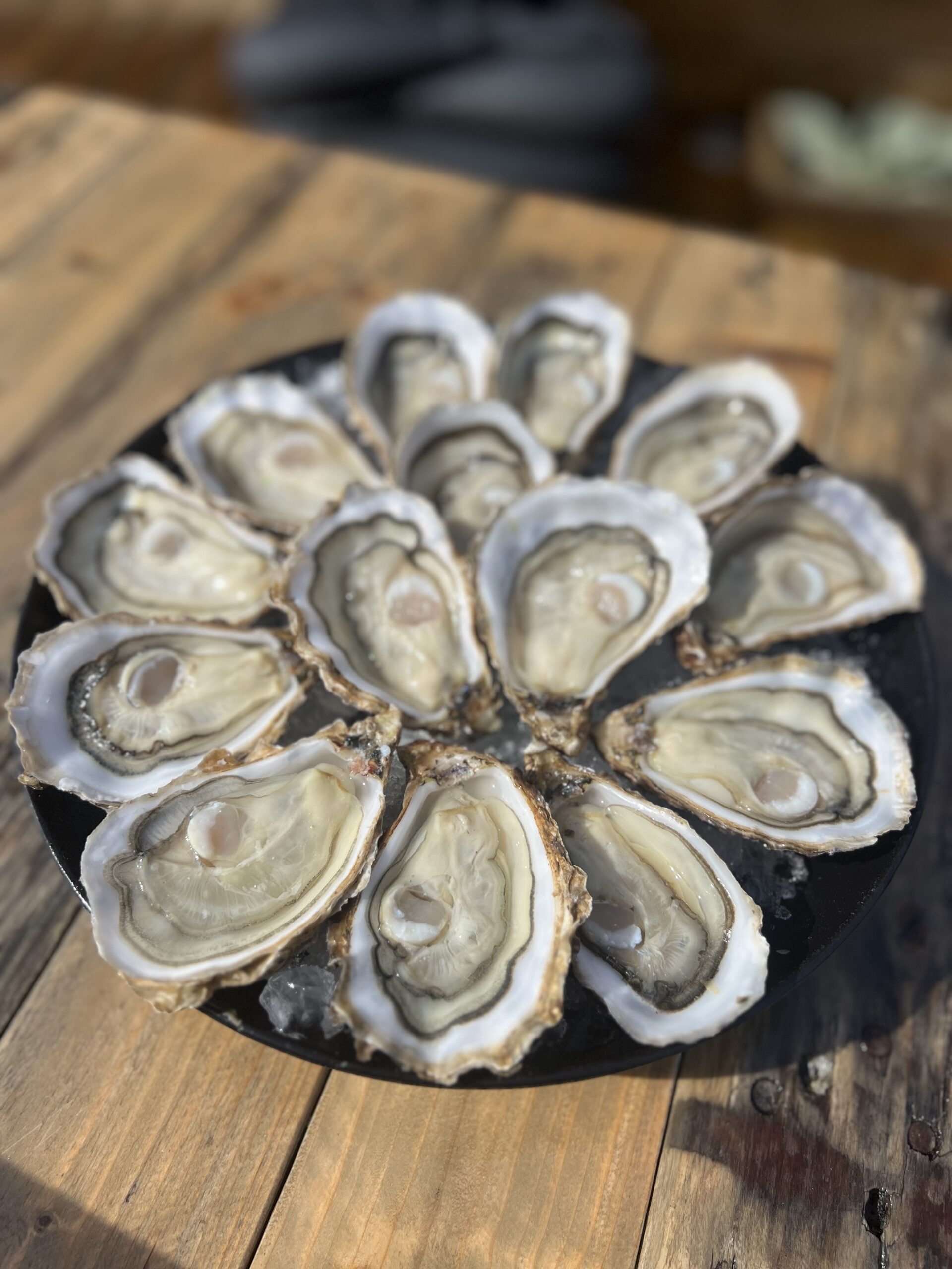 Les huîtres du Pilotis