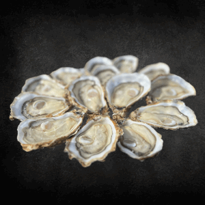 Huîtres pleine mer - Calibre 3 (moyenne)